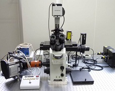 全反射励起蛍光イメージングシステム<br>Total Internal Reflection Fluorescence Microscope