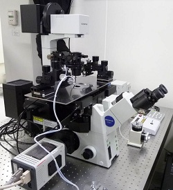 長時間撮影蛍光イメージングシステム<br>Time-Lapse Fluorescence Microscope